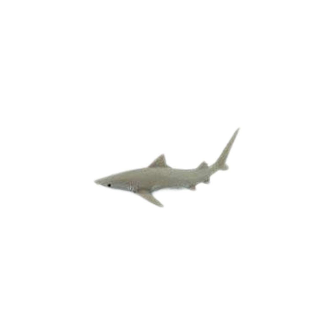 Losse haaien | Safari LTD