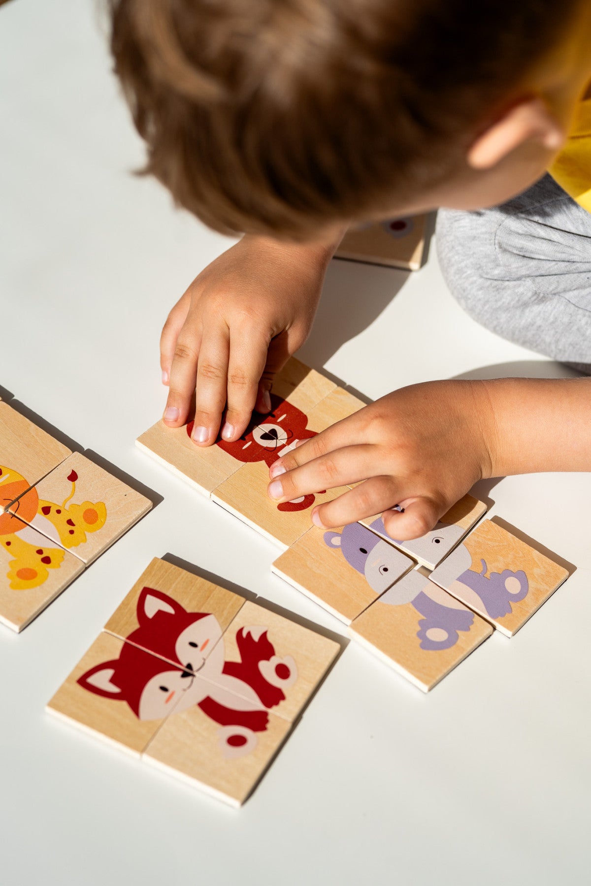 Magnetische Speelset - Puzzel Dieren | Tix&Mix