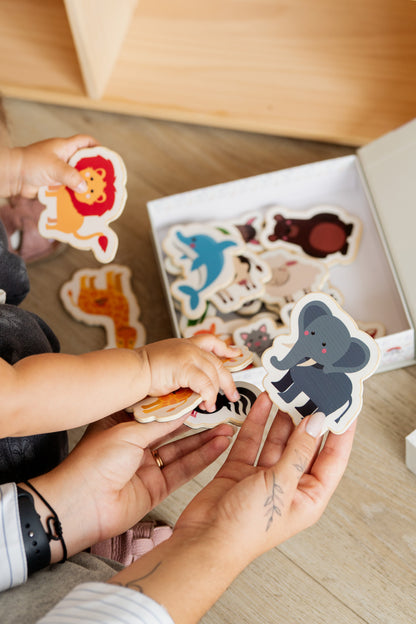 Magnetische Speelset - Dieren | Tix&Mix