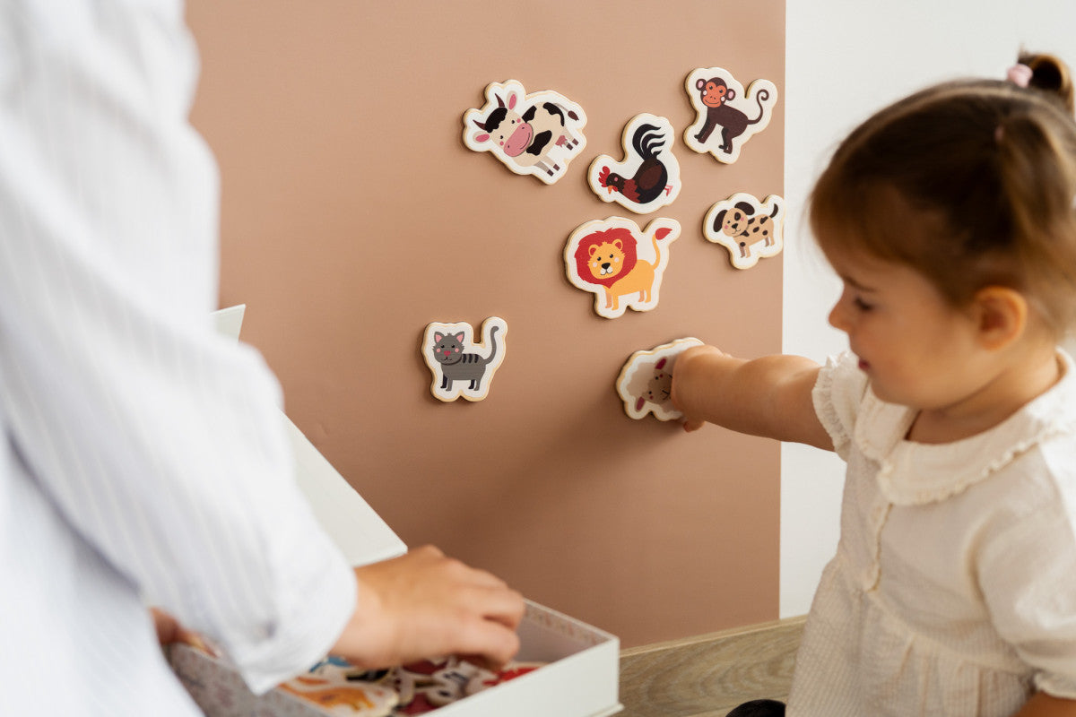 Magnetische Speelset - Dieren | Tix&Mix