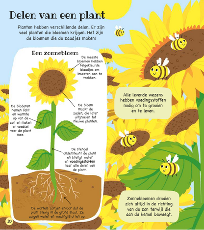 Uitgeverij Deltas | Ik Ontdek De Wereld Doeboek