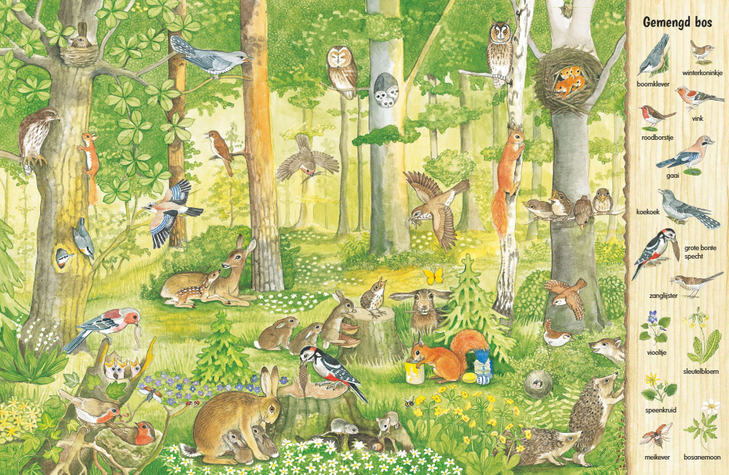 Uitgeverij Deltas | Kijk- en Zoekboek | In Het Bos