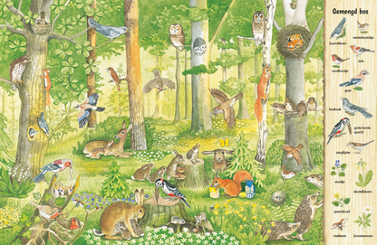 Uitgeverij Deltas | Kijk- en Zoekboek | In Het Bos