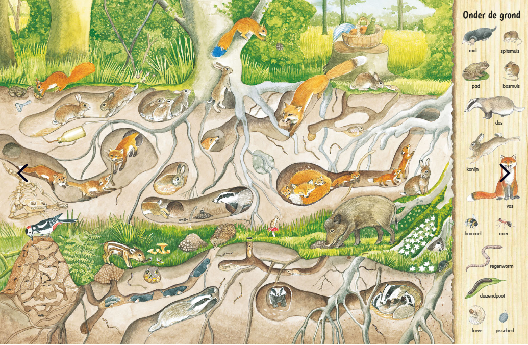 Uitgeverij Deltas | Kijk- en Zoekboek | In Het Bos