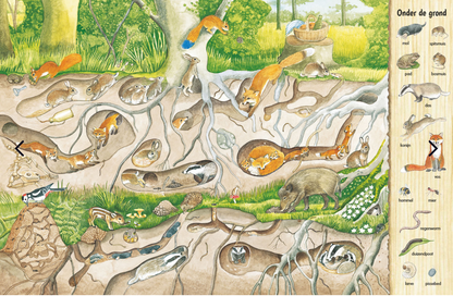 Uitgeverij Deltas | Kijk- en Zoekboek | In Het Bos