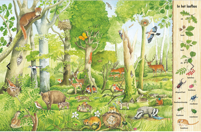 Uitgeverij Deltas | Kijk- en Zoekboek | In Het Bos