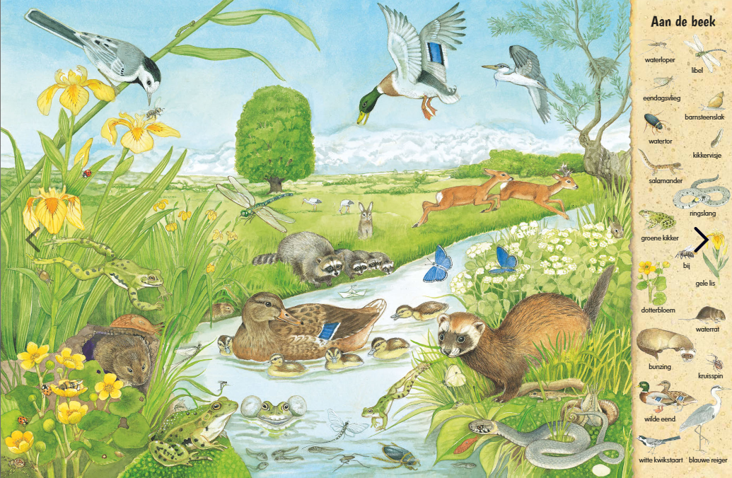 Uitgeverij Deltas | Kijk- en Zoekboek | In Het Veld