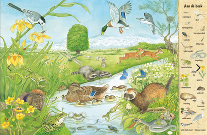 Uitgeverij Deltas | Kijk- en Zoekboek | In Het Veld