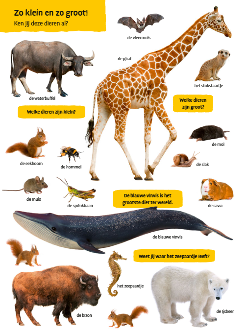 Uitgeverij Deltas | Mijn Eerste Grote Dierenkijkboek