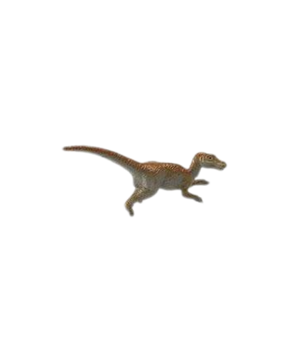Losse dinosaurussen | Safari LTD