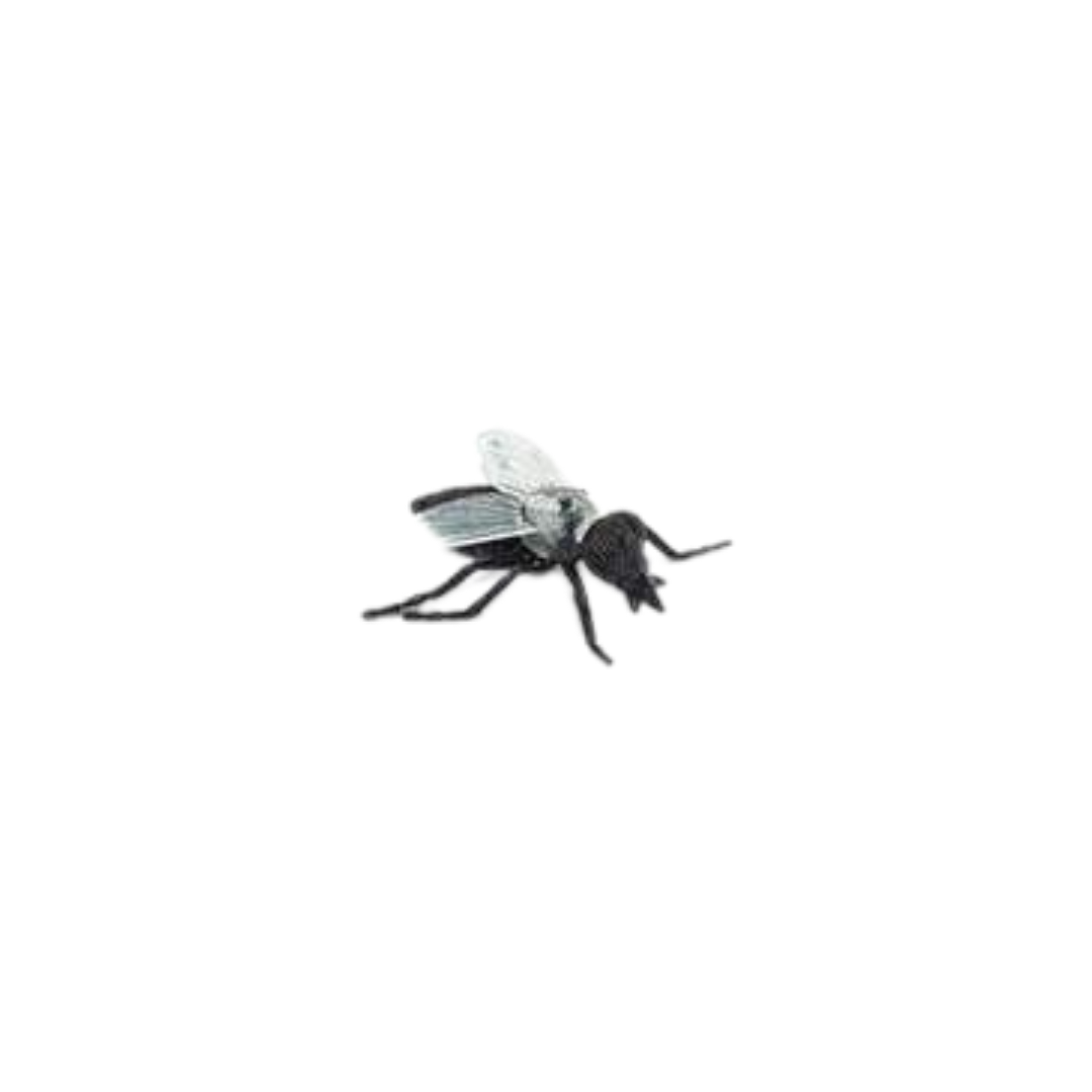 Losse insecten | Safari LTD