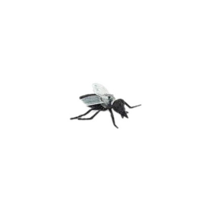 Losse insecten | Safari LTD