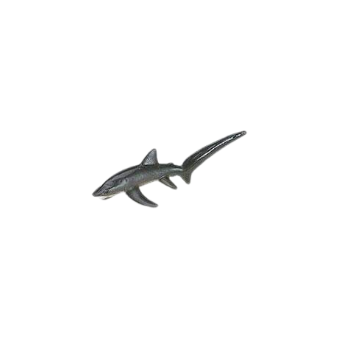 Losse haaien | Safari LTD