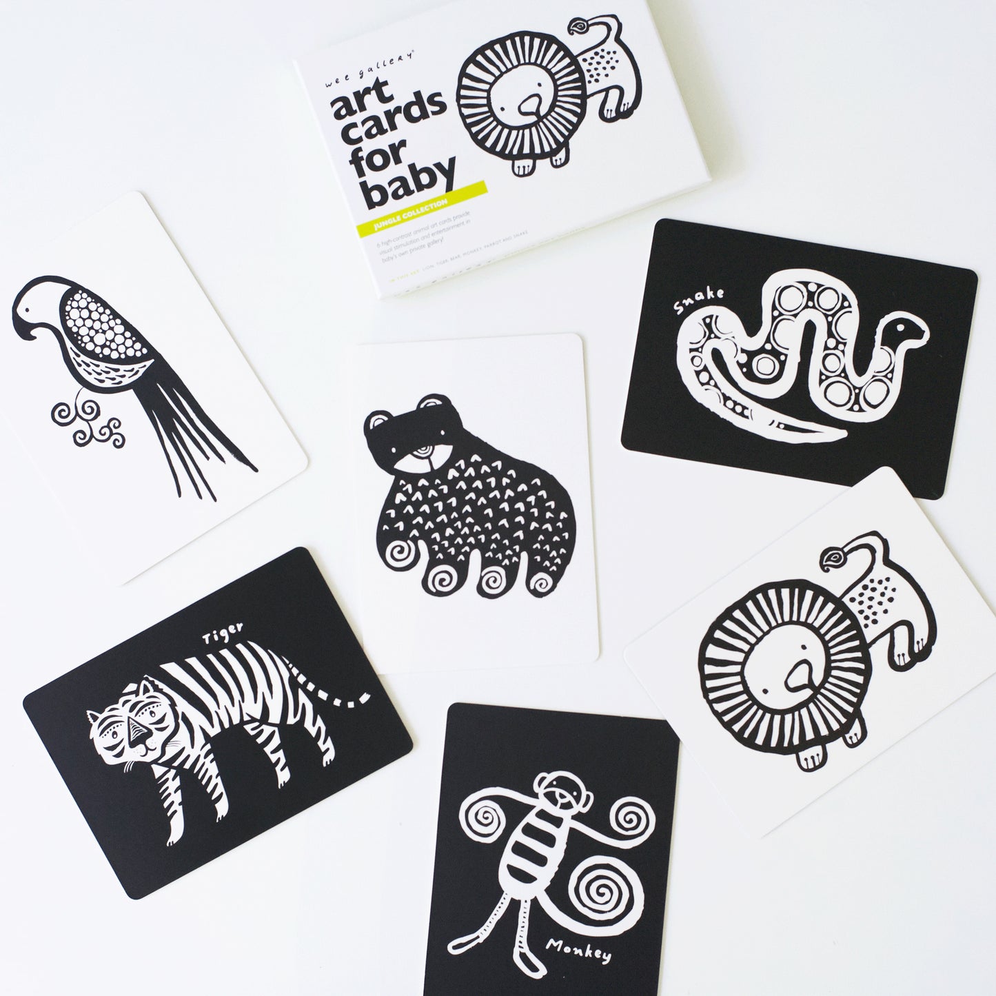 Wee Gallery | Art Cards | Jungle