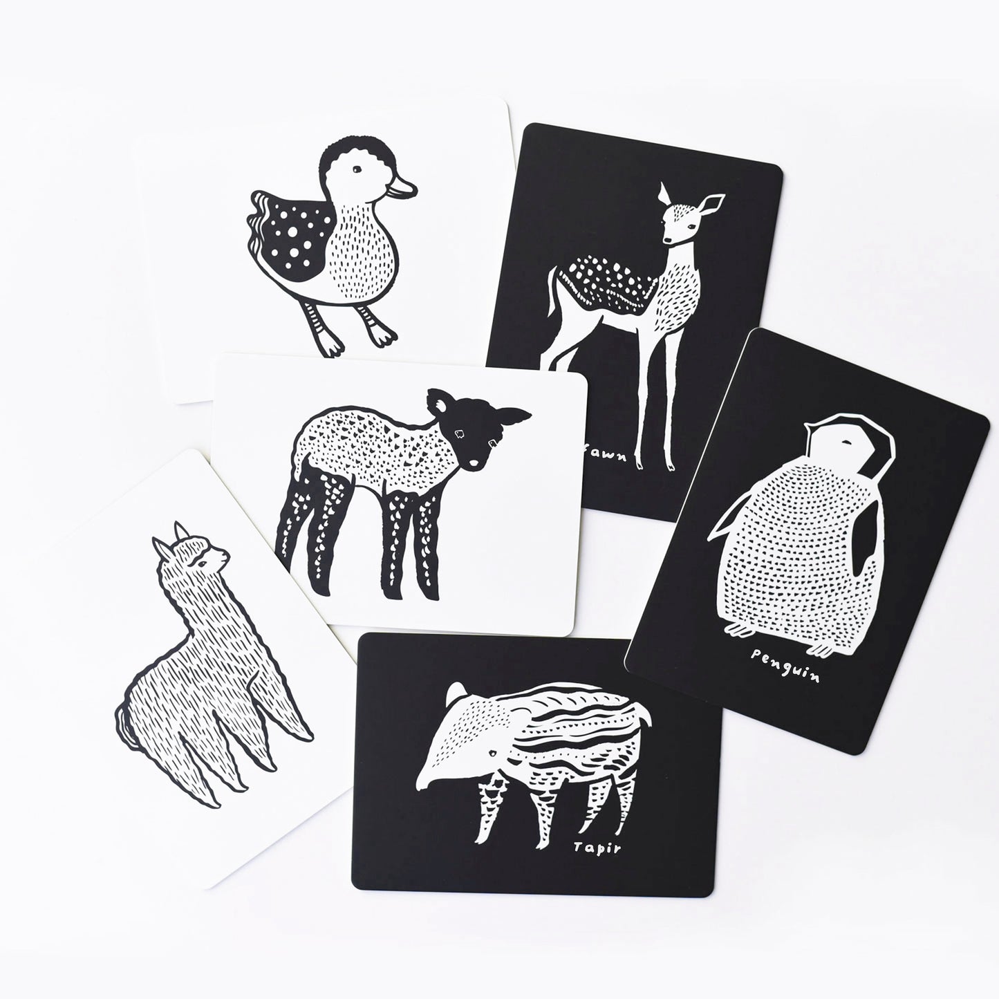 Wee Gallery | Art Cards | Baby Dieren