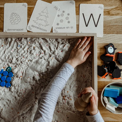 Wildebras | Flashcards | Winter