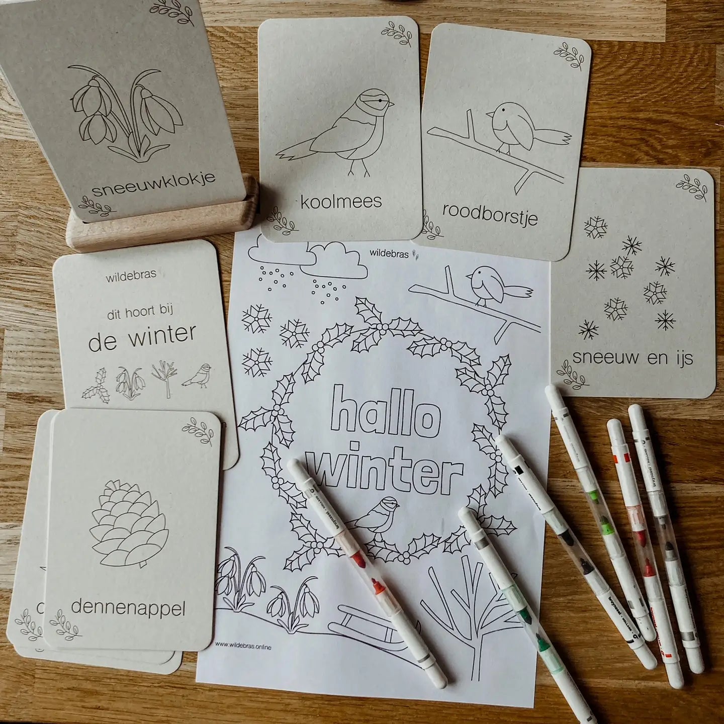 Wildebras | Flashcards | Winter