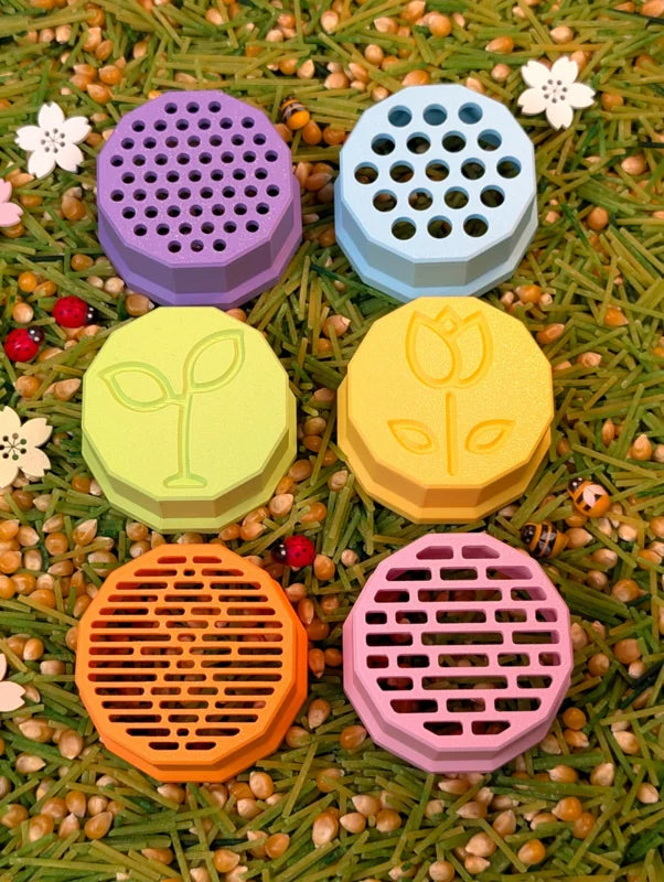 X-Creator | Zeefjesset Small | Spring