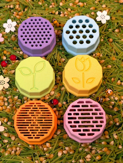 X-Creator | Zeefjesset Small | Spring