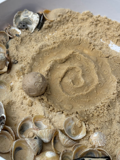 Yellow Door | Roll Around | Natuur