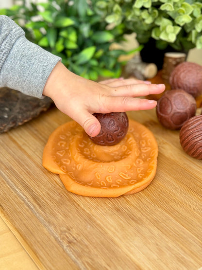 Yellow Door | Roll Around | Wilde Dieren