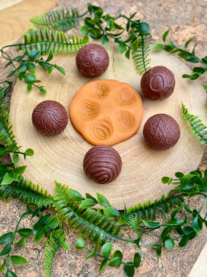 Yellow Door | Roll Around | Wilde Dieren