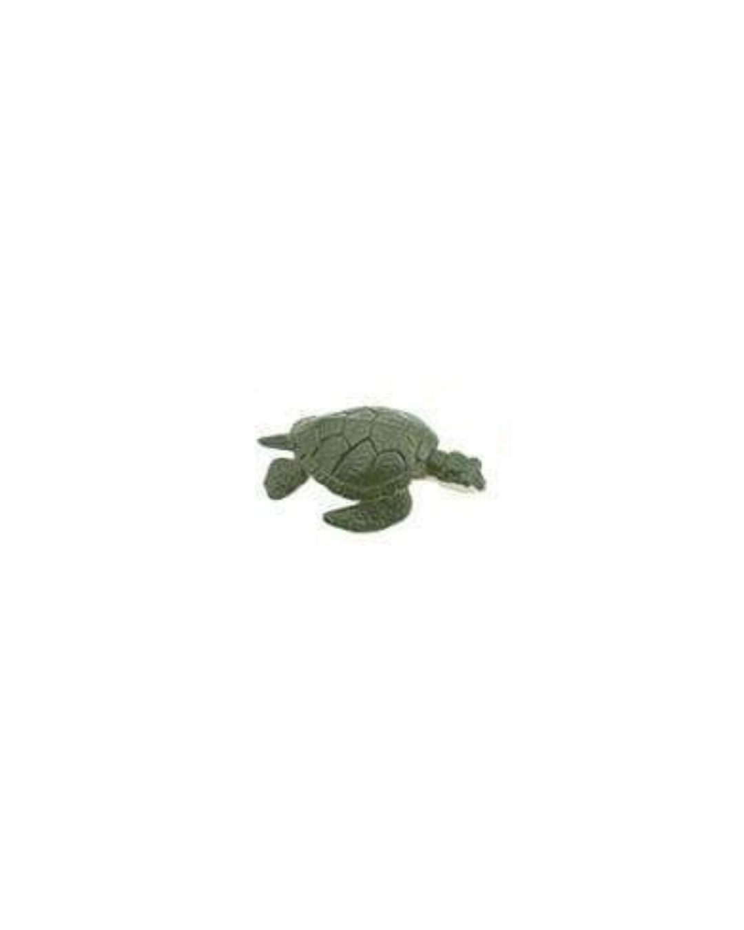 Losse zeedieren | Safari LTD