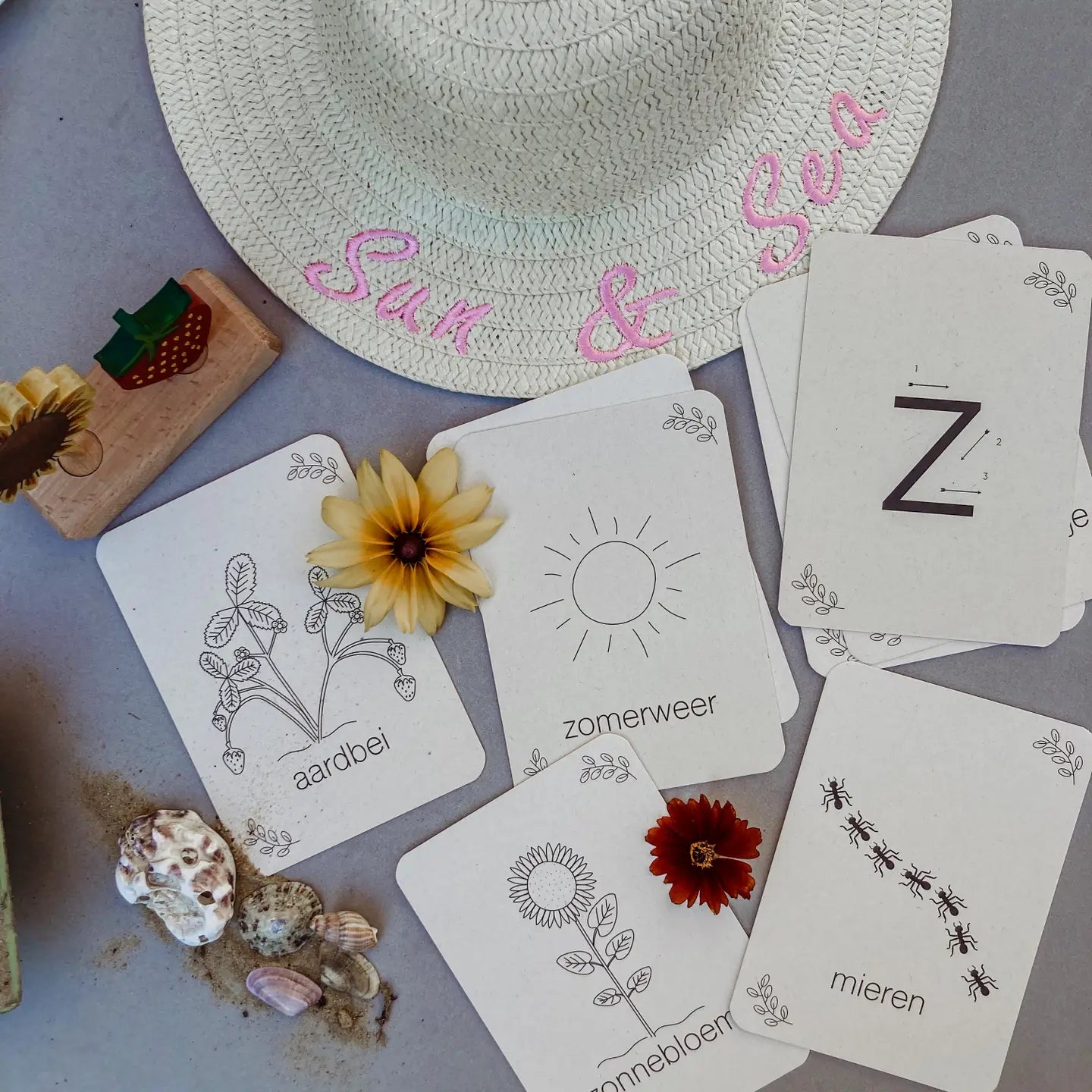 Wildebras | Flashcards | Zomer