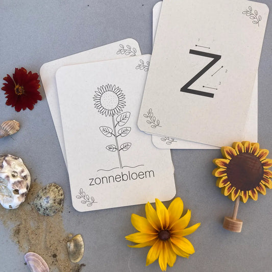 Wildebras | Flashcards | Zomer