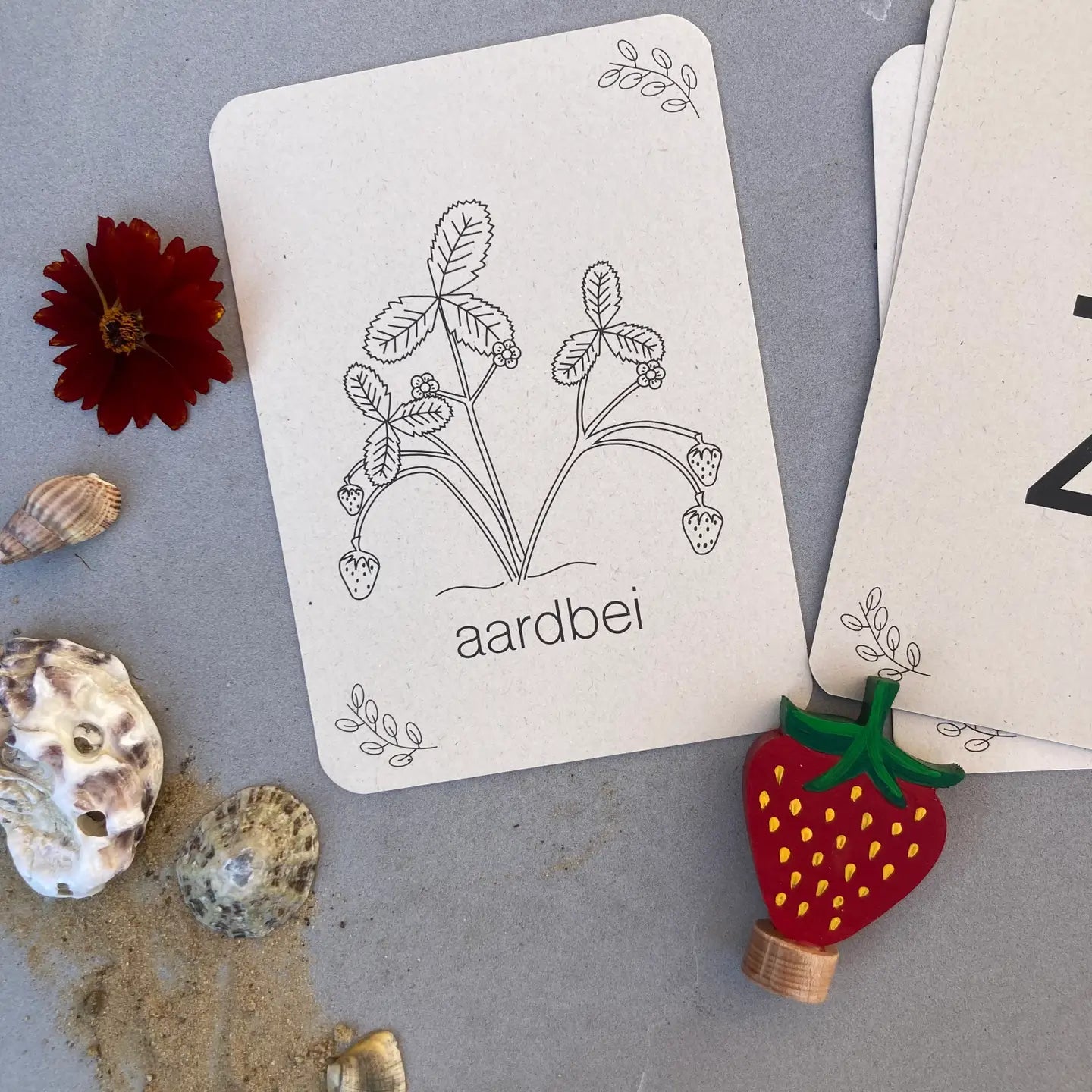 Wildebras | Flashcards | Zomer