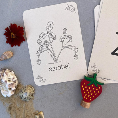 Wildebras | Flashcards | Zomer