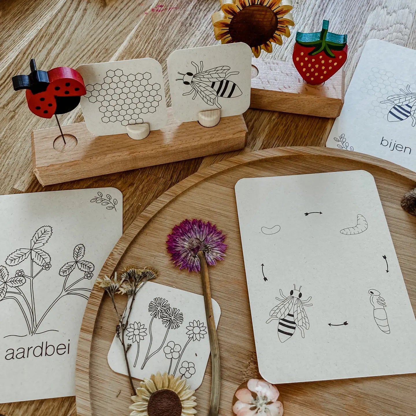 Wildebras | Flashcards | Zomer