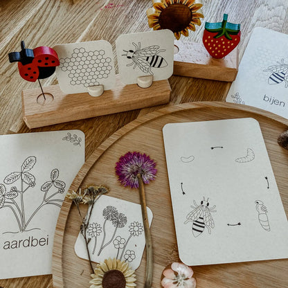 Wildebras | Flashcards | Zomer