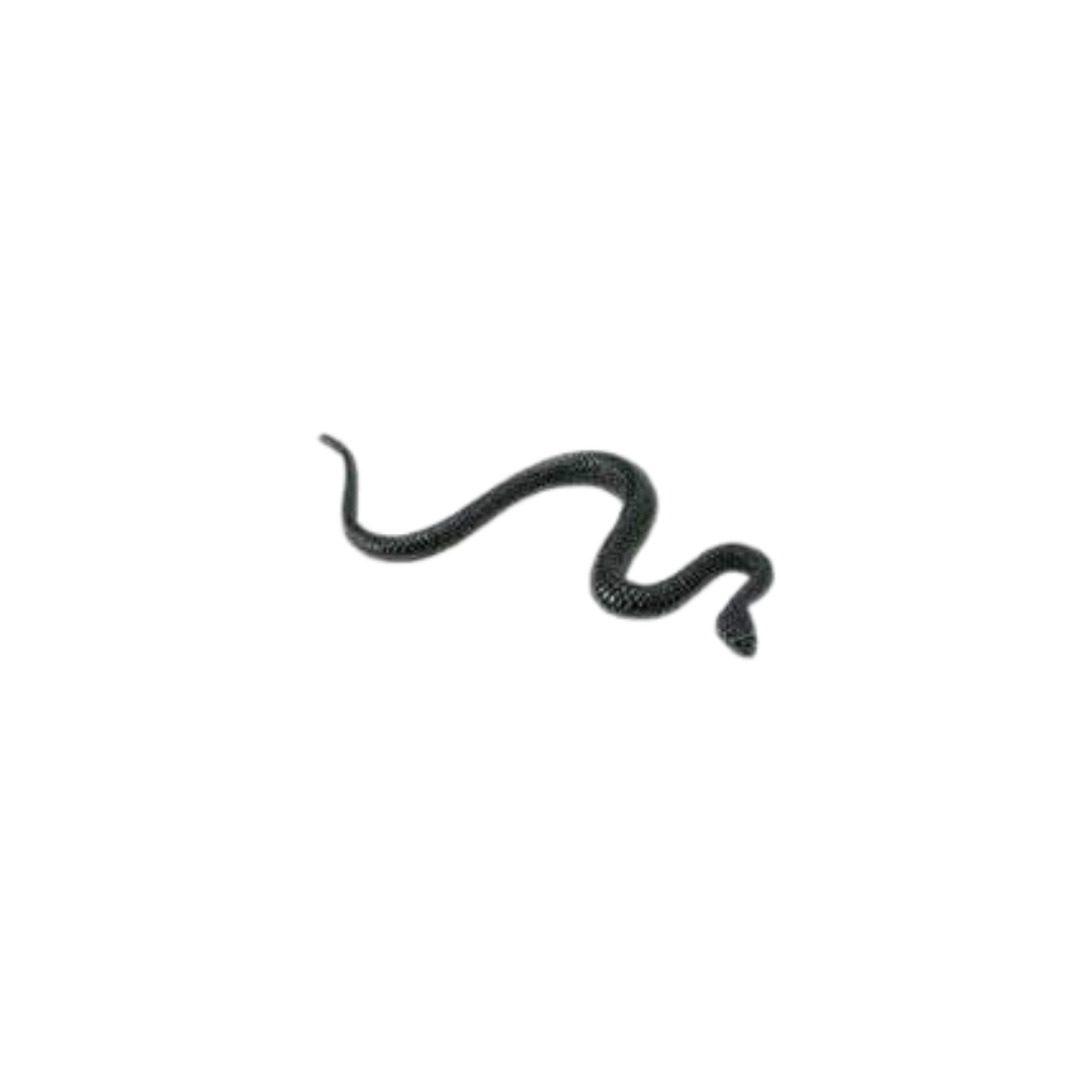 Losse reptielen | Safari LTD